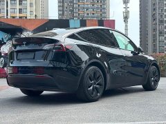 Tesla Model Y Edition - фото 4
