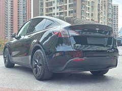 Tesla Model Y Edition - фото 6