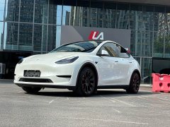 Tesla Model Y Edition - фото 1