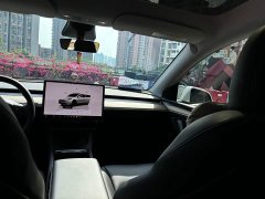 Tesla Model Y Edition - фото 12