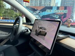 Tesla Model Y Edition - фото 16