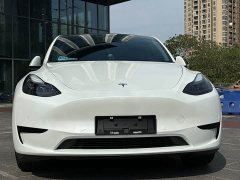 Tesla Model Y Edition - фото 2