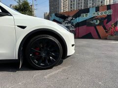 Tesla Model Y Edition - фото 20