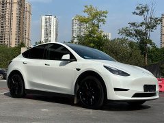 Tesla Model Y Edition - фото 3