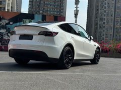 Tesla Model Y Edition - фото 4