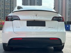 Tesla Model Y Edition - фото 5