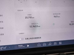 Xpeng P7 Long Range Max - фото 19