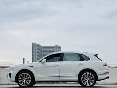 Bentley Bentayga 4.0T V8 - фото 12
