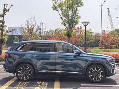Geely Xingyue L 2021 2.0TD DCT EVO two-wheel drive smart - фото 9