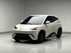 BYD Edition - фото 1