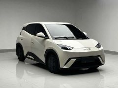 BYD Edition - фото 3