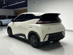 BYD Edition - фото 4