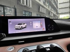 Chery 300T 2WD Edition - фото 17