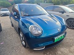 Ora 400kmStandard Range Edition - фото 3