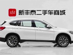 BMW X1 xDrive25Li Deluxe Version - фото 3