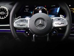 Mercedes-Benz AMG GT AMG GT 50 - фото 12