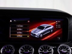 Mercedes-Benz AMG GT AMG GT 50 - фото 18
