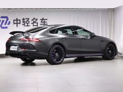 Mercedes-Benz AMG GT AMG GT 50 - фото 3