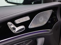 Mercedes-Benz AMG GT AMG GT 50 - фото 7