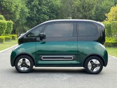 BYD KiWi EV Edition - фото 2