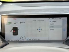 BYD KiWi EV Edition - фото 9