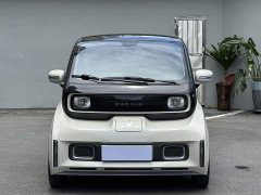 BYD KiWi EV Edition - фото 2