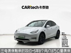 Tesla Model Y Edition - фото 1