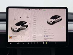 Tesla Model Y Edition - фото 9