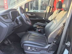 Hongqi HQ9 2023 2.0T Zhilian Qichang Edition - фото 8