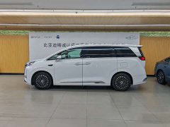 Denza D9 DM-i Intelligent Driving Edition 1020 AWD Premium - фото 7