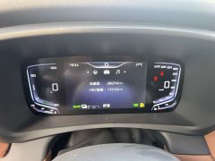 Hongqi HQ9 PHEV 2.0T AWD Business Edition - фото 16