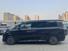 Hongqi HQ9 PHEV 2.0T AWD Business Edition - фото 6