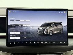 Denza D9 DM-i 980 AWD Version - фото 13