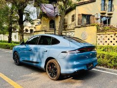 LS6 EREV 52 Max - фото 5