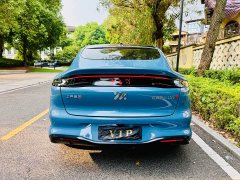 LS6 EREV 52 Max - фото 6