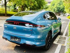 LS6 EREV 52 Max - фото 7