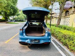 LS6 EREV 52 Max - фото 9