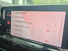 Lanjing facelift 530TSI four-wheel drive flagship Shengjing Edition Pro 6 seats - фото 9