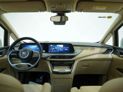 Buick GL8 Deluxe Edition - фото 12