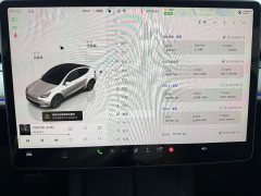 Tesla Model Y Edition - фото 14