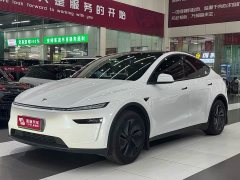 Tesla Model Y Long Range Edition - фото 1