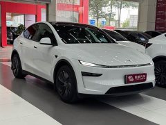 Tesla Model Y Long Range Edition - фото 3