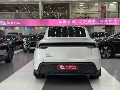 Tesla Model Y Long Range Edition - фото 4