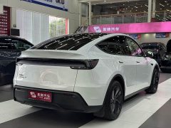 Tesla Model Y Long Range Edition - фото 5