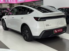 Tesla Model Y Long Range Edition - фото 7