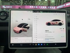 Tesla Model Y Long Range Edition - фото 8