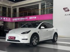 Tesla Model Y Edition - фото 1