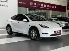 Tesla Model Y Edition - фото 2