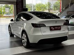 Tesla Model Y Edition - фото 4