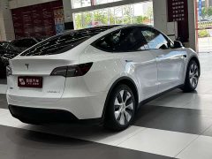 Tesla Model Y Edition - фото 5